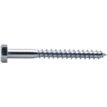 Tornillo de cabeza hexagonal zincada Viswood 10x100 mm (x10 tornillos de madera)