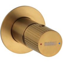 Mamoli - Desviador de ducha empotrado 2 salidas color latón cepillado Tuttodunpezzo 27320000002G Latón cepillado