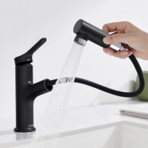 Detbom - Robinet Salle De Bain Avec Douchette Extractible 2 Jets Mitigeur De Lavabo Noir Mitigeur Pour Salle De Bain