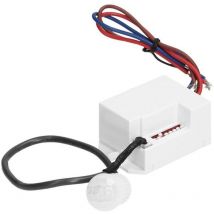 Détecteur de mouvement 800 W avec capteur externe 360