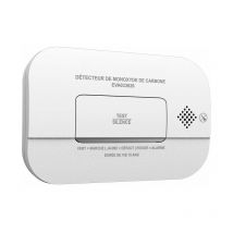 EVACUATE - Detector de monóxido de carbono autonomía 3 años