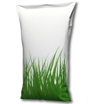 Deutsches Weidelgras Lolium perenne 25 kg – Kulturgras für Landwirtschaft und Rasen – trittverträglich, schneller Aufgang, hohe Futtererträge