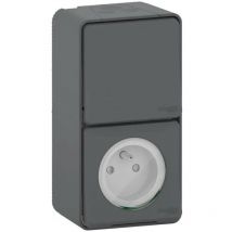 Deviatore con presa di terra stagna grigio antracite Schneider Electric