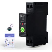 Dewin - 1P 63A WiFi Smart Leistungsschalter Energiezähler Messzeitrelais Sprachfernbedienungsschalter