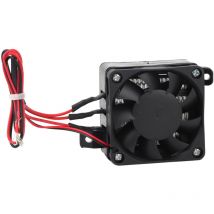 Riscaldatore ptc - Elemento riscaldante a temperatura costante per ventola per auto ptc a risparmio energetico 100 w 12 v - Dewin