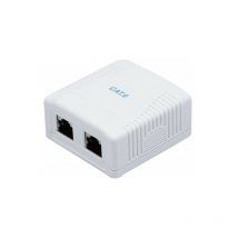 Dexlan - boitier mural 2 ports CAT6 (273265)