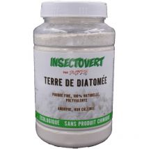 Diatomeenerde in einer 200 g Dose