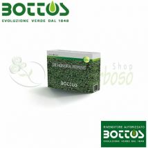 Dichondra Repens - 100 g de semillas de césped