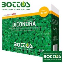 Bottos - Dichondra Repens - Graines pour pelouse 500 Gr