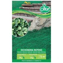 Olter - Dichondra Repens Disponibile nei Formati da 100 - 200 gr - size 100 gr