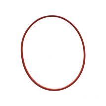 Zodiac - Dichtung für Filterkessel dws 120/120 b