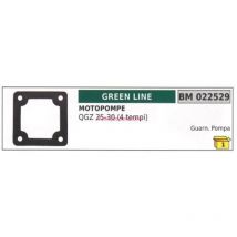 Dichtung Greenline Motorpumpe qgz 25 30 4-STROKE 022529