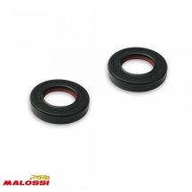 Dichtung Spi Motor Malossi Für Motorrad Aprilia 50 Rs4 2012 Bis