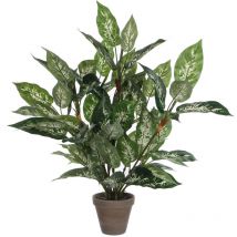 Dieffenbachia pvc avec pot gris