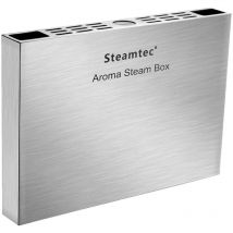 Desineo - Diffuseur d'arôme vapeur pour sauna Steamtech aroma steam box 2