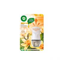 Air Wick - Diffuseur de parfum électrique aux huiles essentielles vanille avec recharge 19 ml