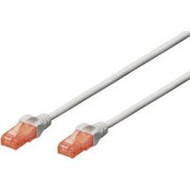 DK-1612-005 RJ45 Câble réseau, câble patch cat 6 u/utp 0.50 m gris torsadé par paire 1 pc(s) S136711 - Digitus