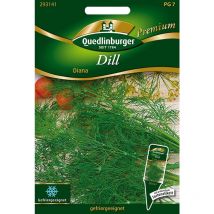 Quedlinburger Dill Diana - Premium Kräutersamen