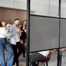 Dimexact - Film occultant gris brillant pour fenêtre - 61 cm x 2.5 m - En Rouleau