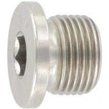 Din 908 Verschlussschrauben mit Innensechskant u. Bund, zylindrisches Fein-Gewinde m 30 x 1,5 x 20, A4 blank - Reidl