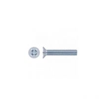 Schachtel mit 250 M5x10 Zink din 965 flache Kreuzschlitzschrauben