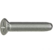 DIN7500ME (mz) m 5x25 Pozidriv 2 verzinkt gewindefurchende Senkschraube