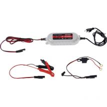 Dino Kraftpaket - 136315 Caricatore automatico 12 v, 6 v 1 a 1 a