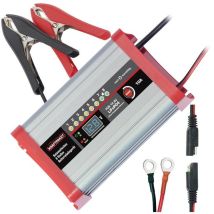 Dino Kraftpaket – 136341 – Caricabatterie LifePo4 10A 12V per batterie al litio-ferro-fosfato – 10A, 12,8V, 230V, 307W