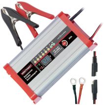 LifePo4 20A 136342 Caricatore 12 v - Dino Kraftpaket