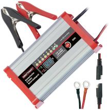 Dino Kraftpaket - LifePo4 20A 136342 Chargeur 12 v D313622