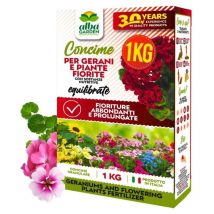 Concime Per Gerani e Piante Fiorite Fertilizzante Granulare Idrosolubile per Abbondanti Fioriture x 1 kg
