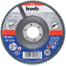 KWB - discs laminas 125x22mm g80 49795728 , Discos Láminas 125X22Mm G80 de la marca Einhell.