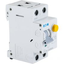 Eaton - Interrupteur différentiel Moeller, 2 Pôles, 16A, 30mA, Type b ( Prix pour 1 )