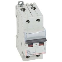 Disjoncteur DX3 2P D3 6000A/10KA Legrand 408010