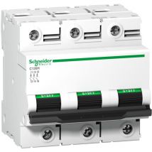 Schneider Electric - Disjoncteur C120H 3P 100 a, courbe d, 15 kA - A9N18513