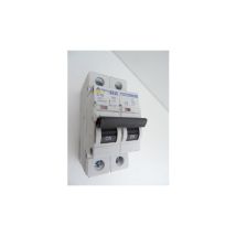 Alternative Elec - Disjoncteur 16A 2P courbe c 6kA bornes vis norme ce AE14216