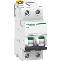 Schneider Electric - Acti9, iC60L disjoncteur 2P 25A courbe b - A9F93225