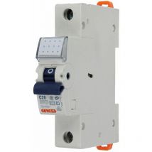 Disjoncteur 25 A caractéristique C 1 pôle 10 kA