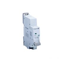 Digital - Disjoncteur 2A Ph/N C4,5 kA I-Plug