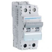 NFN220 Disjoncteur 2P 6 10kA c 20A 2M - Hager