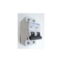 Alternative Elec - Disjoncteur 40A 2P courbe d 6kA bornes vis norme ce AE14540