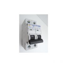 Alternative Elec - Disjoncteur 4A 2P courbe c 6kA bornes vis norme ce AE14204