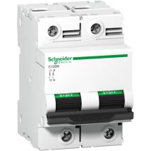 Schneider Electric - Disjoncteur C120N 2P 63 a, courbe d, 10 kA - A9N18382