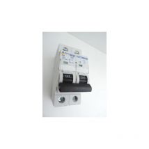 Alternative Elec - Disjoncteur 6A 2P courbe c 6kA bornes vis norme ce AE14206