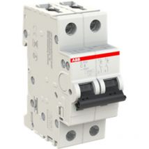 Disjoncteur ABB S200 2P, 8A, pouvoir de coupure 6 kA, montage rail din ( Prix pour 1 )