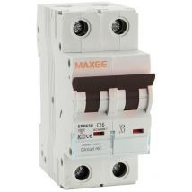 Maxge - Disjoncteur Industriel 2P-10kA 10-63A Courbe c 20 a