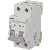 Disjoncteur bipolaire modulaire 20A courbe c Noark Ex9BN