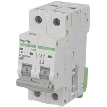 Disjoncteur bipolaire modulaire 20A courbe d Noark Ex9BN
