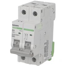 Disjoncteur bipolaire modulaire 6A courbe d Noark Ex9BN