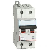 Interrupteur magnétothermique Bticino 2P 10A 10kA d de Type 2 Modules